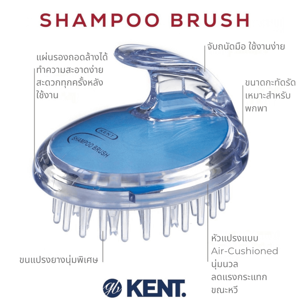 แปรงสระผม KENT SHAMPOO AND SCALP MASSAGE BRUSH สีฟ้า